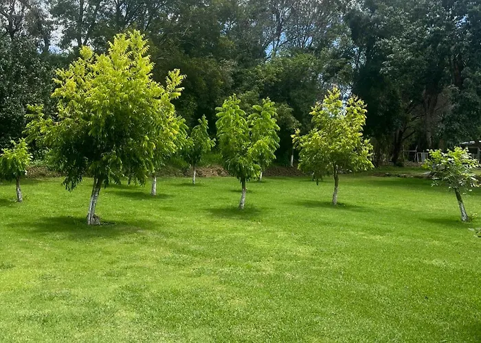 Cabañas las Cumbres