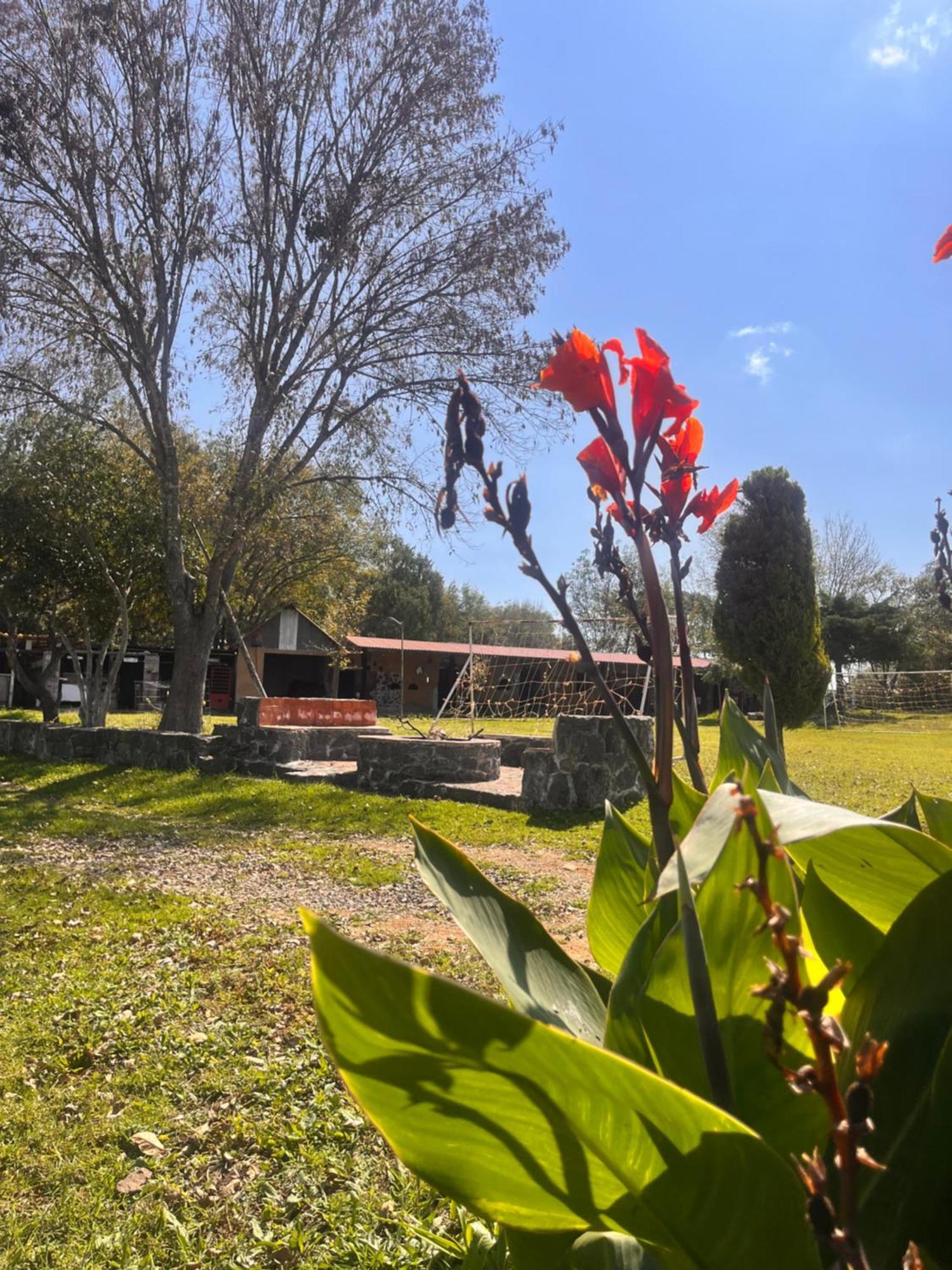 Cumbres Lodge