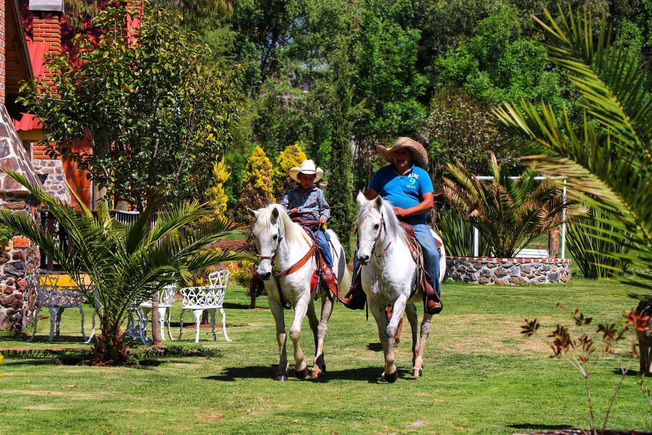 Lodge Cumbres Huasca de Ocampo
